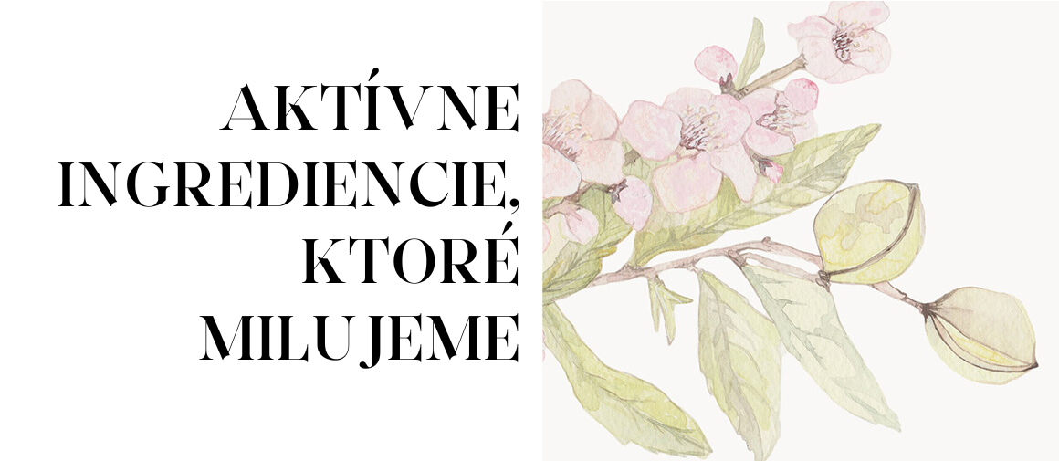 AKTÍVNE INGREDIENCIE, KTORÉ MILUJEME_1
